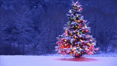 Горящее предложение - Волшебный Новый Год и Рождество ! Скидки до 50 % ! -  туристический блог об отдыхе в Беларуси