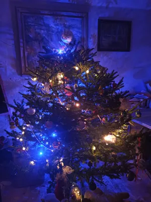 Новогодняя елка обои - 56 фото