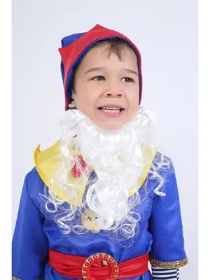 Нужен ли карнавальный костюм ребенку на Новый год? - Моя газета | Моя газета