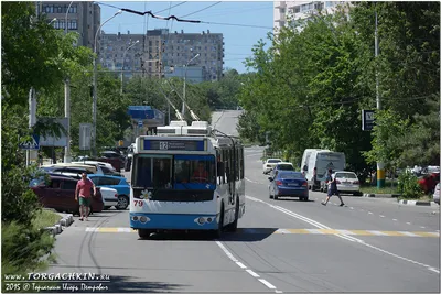 Новороссийцы требуют: \"Пляж – народу!\", \"Терминалу – нет!\" | Экологическая  Вахта по Северному Кавказу