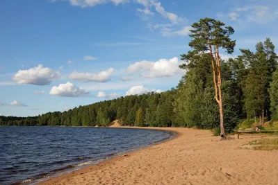 Бухта Медуза - Самая Прекрасная Бухта. | Денис Морев | Дзен