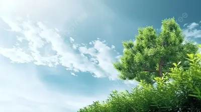 Спортивный планер высоко над деревьями на фоне облачного неба Stock Photo |  Adobe Stock