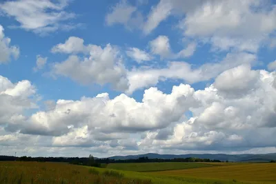 Облака Облачного Неба — стоковые фотографии и другие картинки Без людей -  Без людей, Ветер, Влажный - iStock
