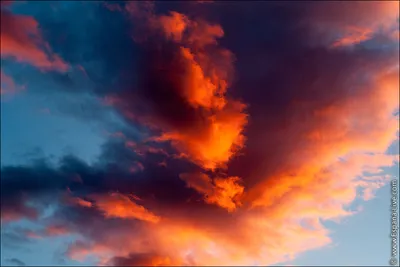 Бесплатное изображение: оранжевые облака, тучи, природа, пейзаж, закат,  облака, солнце, небо, деревья