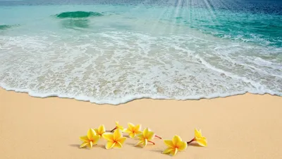 Красивый Пляж И Тропические Моря Фотография, картинки, изображения и  сток-фотография без роялти. Image 16888670