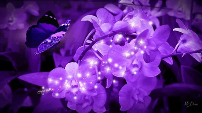 Эстетичные обои фиолетового цвета - 70 фото