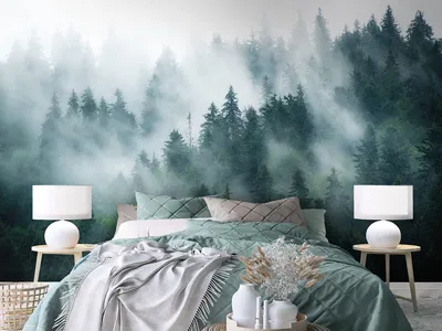 Фотообои Лес в тумане 400х270 - купить по выгодной цене в интернет-магазине  OZON (548604688)
