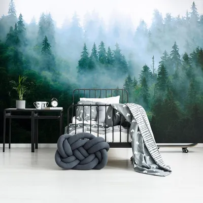 Фотообои Сосновый лес в тумане u97251 купить в Украине | Интернет-магазин  Walldeco.ua