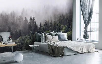 Фотообои “Туман в лесу” в спальню | Дизайн спален, Дизайн небольшой  комнаты, Декор спальни