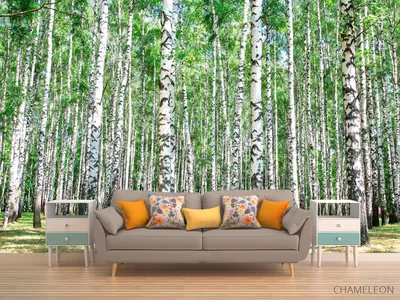 Фотообои / флизелиновые обои Туманный лес 2,5 x 2,5 м - купить по выгодной  цене в интернет-магазине OZON (267628800)