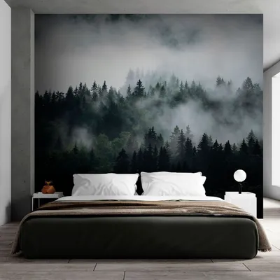 Фотообои на стену Лес в тумане - Леса Поля Горы Разное