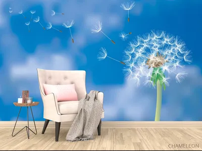 Купить фотообои на стену из категории 3D по теме Фотообои полевые цветы,  цветы, воздушные шары , 3D шары и одуванчики 20-209 в Ростове-на-Дону