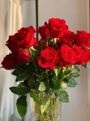 Фотообои Красные розы купить на стену • Эко Обои