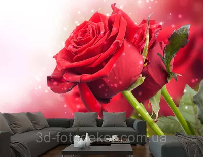 красные розы на черном фоне обои, картины из красных роз, Красная роза, Роза  фон картинки и Фото для бесплатной загрузки