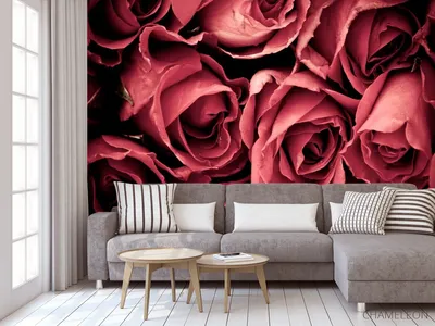 Фотообои Красные розы над водой на стену. Купить фотообои Красные розы над  водой в интернет-магазине WallArt