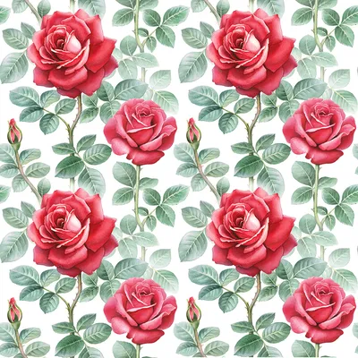 Обои Цветы Розы, обои для рабочего стола, фотографии цветы, розы, красные,  много Обои для рабочего стола, скачать обои картинки заставки на рабочий  стол.