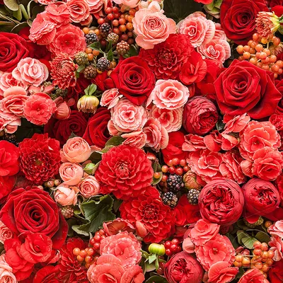 Фотообои Розы \"Фон из красных и розовых цветов\" - арт 0120015051 | Купить в  интернет-магазине Фото в дом