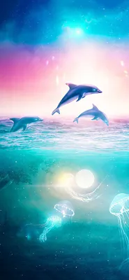 Dolphin Wallpaper | Искусство дельфинов, Дельфины, Искусство