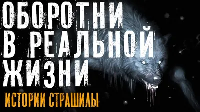 Волк: истории из жизни, советы, новости, юмор и картинки — Горячее,  страница 2 | Пикабу