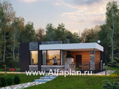 3 проекта одноэтажных домов в скандинавском стиле с односкатной крышей |  Популярные проекты домов Альфаплан | Дзен