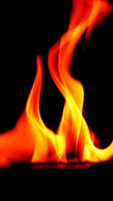 Огонь пламя на черном фоне • наклейки на стену разогревать, очаг, пожарный  | myloview.ru