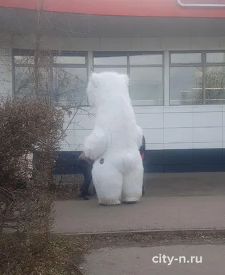 Огромный плюшевый медведь 230см Краснодар