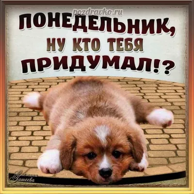 Мужское Издание - Господи... Опять понедельник..! Что же так часто-то, а?!  | Facebook