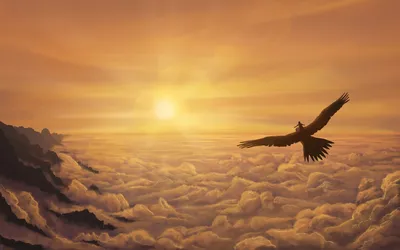 Бесплатное изображение: орел птица летит, Голубое небо.