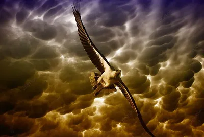 Орел в небе» — создано в Шедевруме