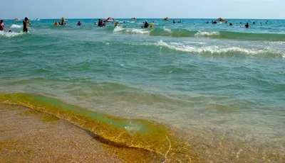 красивая девушка на пляже на море позирует на пляже отдых на море Стоковое  Изображение - изображение насчитывающей потеха, модель: 219943847