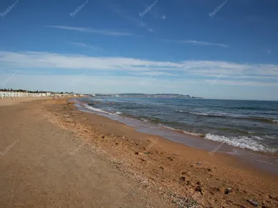 Костештское «море» для молдаван. В каком состоянии популярная зона отдыха —  инспекция «СП» | СП - Новости Бельцы Молдова