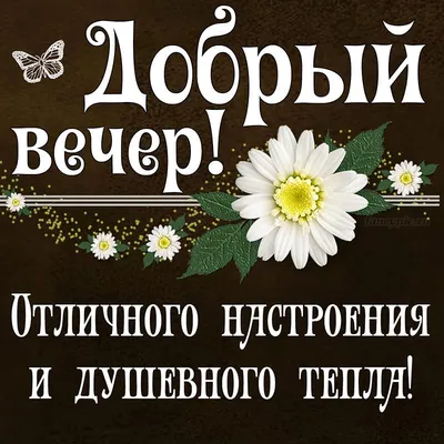 Картинки хорошего дня и отличного настроения. Пожелайте близким доброго  утра и хорошего дня. Откравьте открытку… | Утренняя мотивация, Открытки,  Счастливые картинки