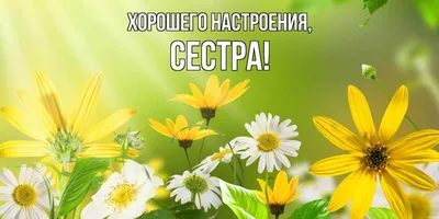 Открытка хорошего настроения (74 лучших фото)