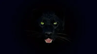 Векторный иллюстрированный портрет Чёрной пантеры Векторное изображение  ©ant_art 149166094