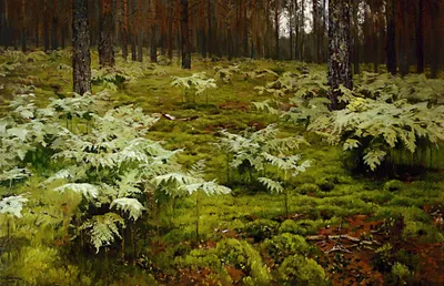 Исаак Ильич Левитан - Папоротники в лесу, 1895, 126×82 см: Описание  произведения | Артхив