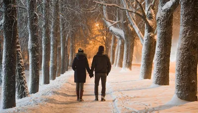 Портрет романтической пары, проводящей время вместе в зимнем лесу | Премиум  Фото