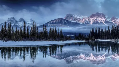 Красивые зимние пейзажи с птицами высокого разрешения (54 фото) - красивые  фото и картинки pofoto.club