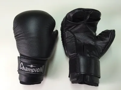 Перчатки для рукопашного боя - champion-blr.by