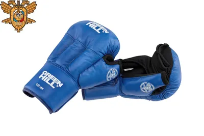 Перчатки для рукопашного боя Everlast синий цвет — купить за 5499 руб.,  отзывы в интернет-магазине Спортмастер