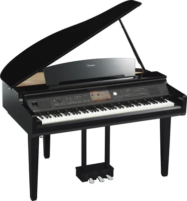 Что выбрать: синтезатор или цифровое пианино?