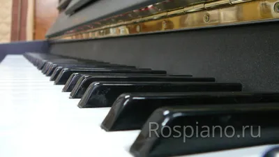 Цифровое фортепиано Kawai KDP 120 Premium: 117000 KGS ➤ Пианино, фортепиано  | Бишкек | 44972126 ᐈ lalafo.kg