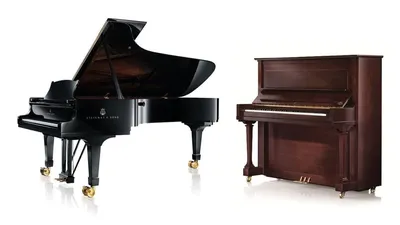 Чем отличается пианино от фортепиано - в чем разница и отличие, чем  отличается от рояля