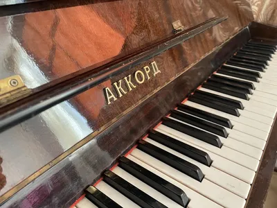 Фортепиано, рояль и пианино | Канал для влюблённых в музыку | Дзен