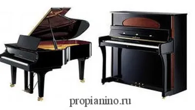 Чем отличается фортепиано от пианино? | Belcanto.ru
