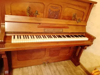 Достоинства пианино и роялей Petrof - музыкальные инструменты в Москве