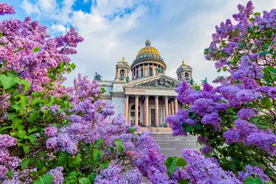 Новые места Питера (5 дней + ж/д или авиа) - Туры в Санкт-Петербург