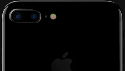 Apple не рекомендует заряжать iPhone 7 в течение 5 часов после погружения в  воду | AppleInsider.ru