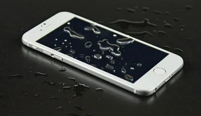Apple дала рекомендации на случай контакта iPhone 7 с водой - Российская  газета