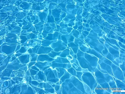 Маленькая девочка ныряет под водой в бассейне Стоковое Изображение -  изображение насчитывающей счастливо, люди: 104654449