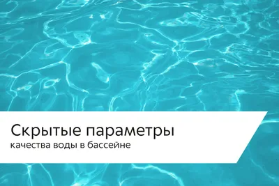 Купаться разрешено: как поддерживать чистоту в бассейне на даче — Журнал  Ситилинк